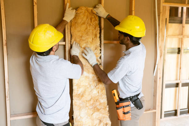 Trusted Eclectic, AL Insulation Removal & Installation Experts